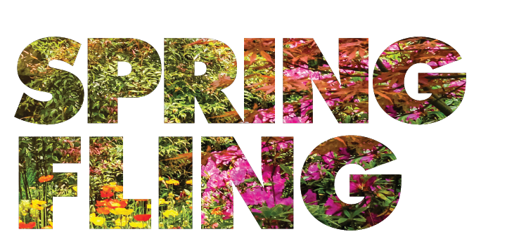 Spring Fling - Low-Cost $50 Mammograms