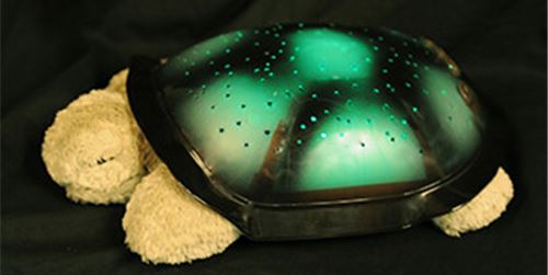 Twilight Turtle Nightlight